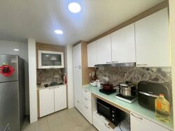 The Springbloom (D19), Condominium #638138121